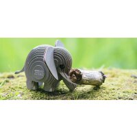 Elefante - 3D Kit modello di figure in cartone