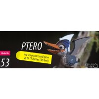 Ptero - 3D Cardboard Model Kit
