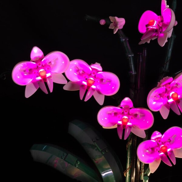 LED Licht Set für LEGO® 10311 Orchidee