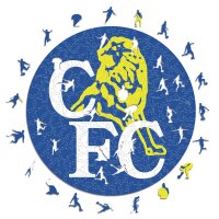 Chelesea FC - Logo R&eacute;tro - Puzzle en Bois Taille M (270 Pi&egrave;ces)