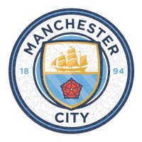 Man City FC - Logo - Wooden Puzzle Size L (500 pieces)