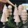 Set di 10 figure di alberi in legno