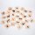 Gioco delle coppie di immagini di animali domestici (Memo) in legno (28 pezzi)