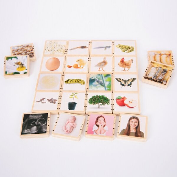 Wooden life sequence picture tiles