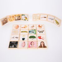 Wooden life sequence picture tiles