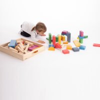 </p>Contiene un totale di 54 grandi blocchi di legno lisci con design tradizionali e un mix di colori naturali e arcobaleno.</p>