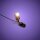 LMB 2.0 Astro LED - Pack de spots - Blanc chaud (pd4)