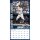 MLB - New York Yankees - 30.5 x 30.5 cm team wall calendar 2025