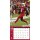 NFL - Arizona Cardinals - Calendario da parete della squadra 2025 30,5 x 30,5 cm