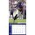 NFL - Baltimore Ravens - 30.5 x 30.5 cm team wall calendar 2025