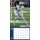 NFL - Dallas Cowboys - 30.5 x 30.5 cm team wall calendar 2025
