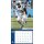 NFL - Indianapolis Colts - Calendario da parete della squadra 2025 30,5 x 30,5 cm