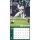 NFL - New York Jets - 30.5 x 30.5 cm Team Wandkalender 2025