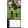 NFL - Pittsburgh Steelers - 30.5 x 30.5 cm team wall calendar 2025