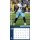 NFL - Tennessee Titans - 30.5 x 30.5 cm team wall calendar 2025
