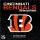 NFL - Cincinnati Bengals - Boxkalender 2025