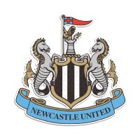 Newcastle United FC - Logo - Puzzle en bois