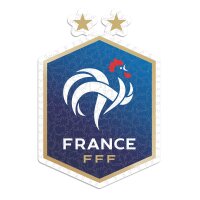 France (FFF) - Logo - Puzzle en bois