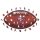 NFL - San Francisco 49ers&ndash; Football avec Logo  - Puzzle en bois Taille S (150 Pi&egrave;ces)