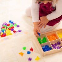 Set di 96 forme di insetti in plastica colorata e traslucida, inclusa scatola portaoggetti