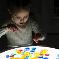 Set di 72 conchiglie colorate e traslucide e creature marine in plastica in una scatola portaoggetti