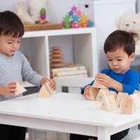 Wooden sound prisms &ndash; 12-piece sound & matching game made of hardwood