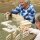Set di 28 grandi domino in legno &ndash; Domino in legno di pino robusto per interni ed esterni