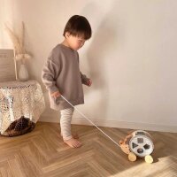 Hedgehog sorting wheel - Pull-along toy with rotating stacking game