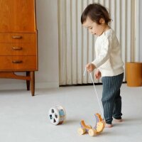 Hedgehog sorting wheel - Pull-along toy with rotating stacking game