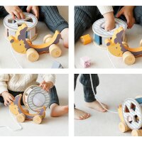 Hedgehog sorting wheel - Pull-along toy with rotating stacking game