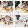 Hedgehog sorting wheel - Pull-along toy with rotating stacking game