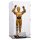 Acryl-Display f&uuml;r LEGO&reg; 75398 Star Wars C-3PO (Mit schwarzem Boden)