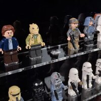Display da parete in acrilico per 100 minifigure LEGO&reg; (con sfondo nero)