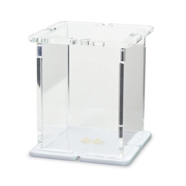 Pr&eacute;sentoir en acrylique pour 1 figurine LEGO&reg; (avec base blanche et 2 tenons)