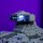 LMB 2.0 LEGO&reg; SkiFi Starer Pack Light Kit