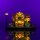 LMB 2.0 Kit di illuminazione a LED per LEGO&reg; 10362 Caf&eacute; francese