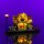 LMB 2.0 Kit di illuminazione a LED per LEGO&reg; 10362 Caf&eacute; francese