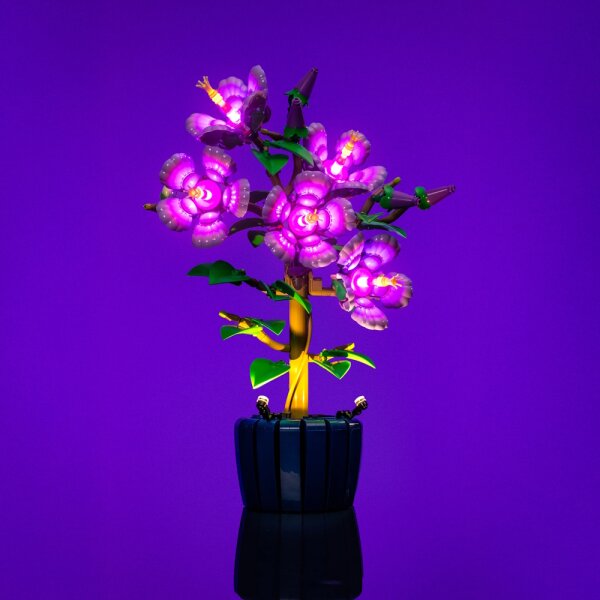 LMB 2.0 LEGO&reg; 10372# Hibiscus Light Kit