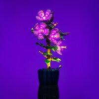 LMB 2.0 LEGO&reg; 10372# Hibiscus Light Kit