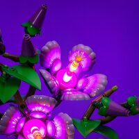 LMB 2.0 LEGO&reg; 10372# Hibiscus Light Kit