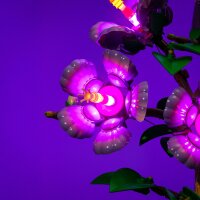 LMB 2.0 LEGO&reg; 10372# Hibiscus Light Kit