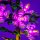LMB 2.0 LEGO&reg; 10372# Hibiscus Light Kit