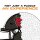 NFL - Tampa Bay Buccaneers - Casque - Puzzle en bois