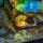 LMB 2.0 LEGO&reg; 10366# Tropical Aquarium Light Kit