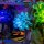 LMB 2.0 LEGO&reg; 10366# Tropical Aquarium Light Kit