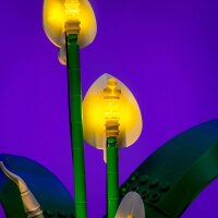LMB 2.0 Kit di illuminazione a LED per LEGO&reg; 11504 Spatifillo