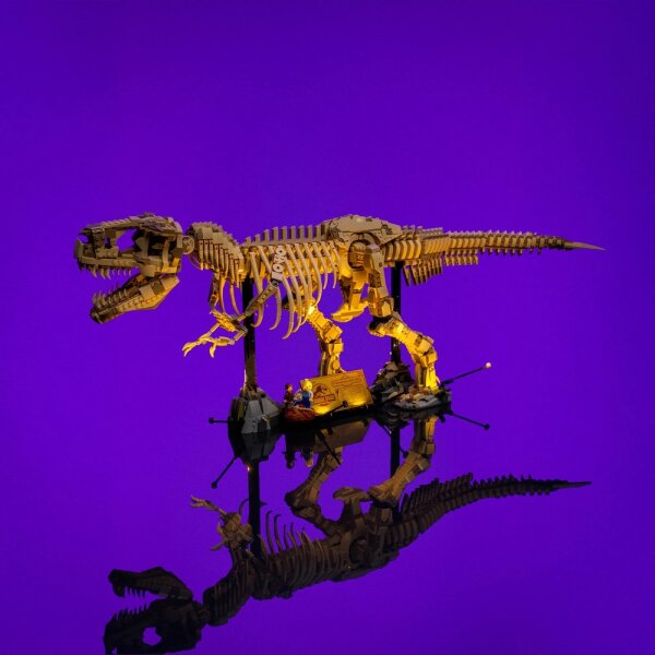 LMB 2.0 LED Kit d&rsquo;&eacute;clairage pour LEGO&reg; 76968 Les fossiles de dinosaures - le Tyrannosaurus rex
