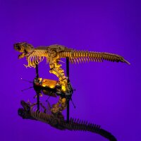 LMB 2.0 LED Kit d&rsquo;&eacute;clairage pour LEGO&reg; 76968 Les fossiles de dinosaures - le Tyrannosaurus rex