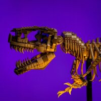 LMB 2.0 LED Kit d&rsquo;&eacute;clairage pour LEGO&reg; 76968 Les fossiles de dinosaures - le Tyrannosaurus rex