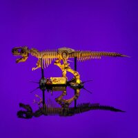 LMB 2.0 LED Kit d&rsquo;&eacute;clairage pour LEGO&reg; 76968 Les fossiles de dinosaures - le Tyrannosaurus rex